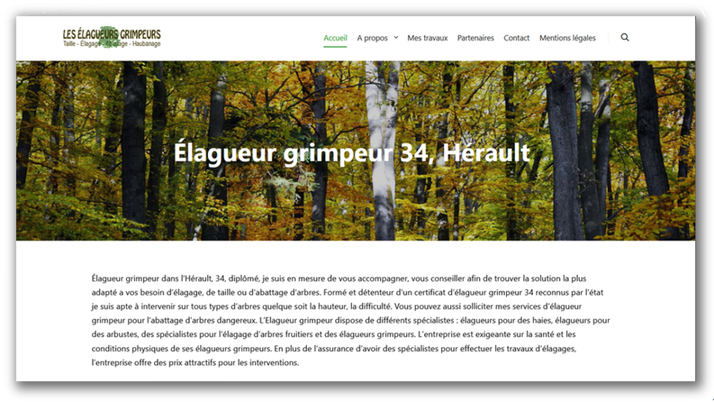 élagage d'arbres dangereux en Hérault, 34
